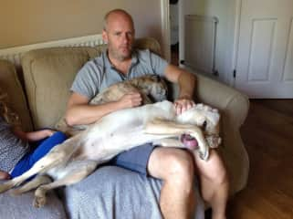 Phil watching T.V. with Tess and Reggie on our second house sit through TrustedHousesitters.