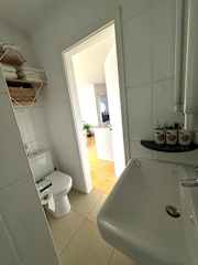 The Toilette and Sink