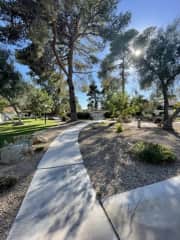 Walking paths through the neighborhood