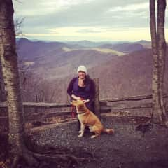 Elk Knob Trail