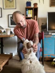 Puppy in London