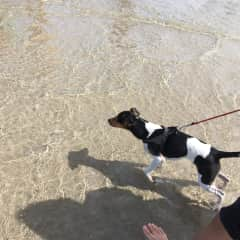 Danny in the beach