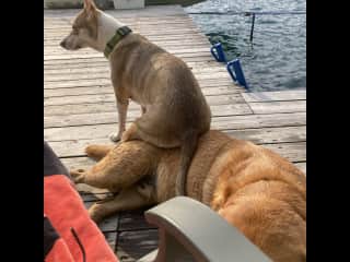 Sitting on Hank.