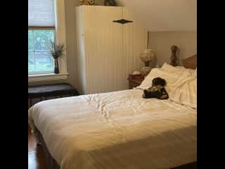 Here is one of two spare bedrooms with a queen bed. You are welcome to use any of the rooms but the cats do enjoy sleeping upstairs.