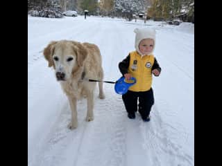 Awesome dog Teo and our sit in Bozeman, Montana.