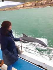 In Dingle Ireland, on my friends boat, with Fungie, our famous, lovable and playful Dolphin!