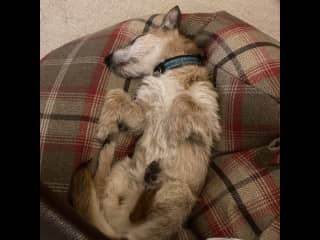 He is a quite a relaxed chap in the house!