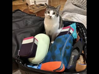 He’d make for a cute stowaway!