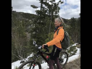 Biking the road to Sylvan Lake and the Needles