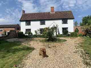 The house (featuring Teddy)