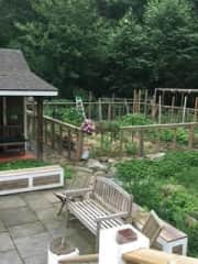 garden, back patio and shed