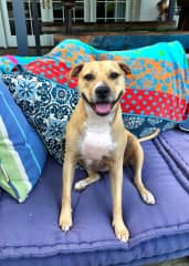Josey's big smile