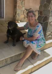 Dogs of the neighborhood come to spend te day with me, I welcome them