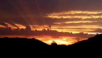 House sit for Teresa in Tucson, AZ, US ...