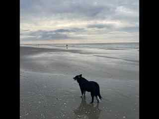 She loves a morning walk on the beach, but she is not a fan of water