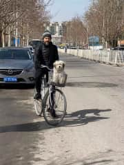 This is how I found Billy. I scooped him up from the street and put him in my bicycle basket and brought him home.