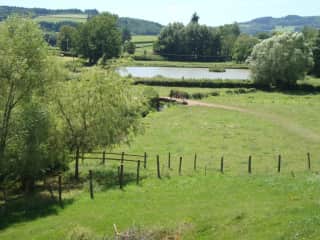 view from yard