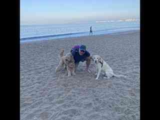 Todd hanging out on the beach with Harvey and Sammy, dogs we cared for in Mexico.
