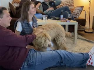 Radar is a dog of our friend Brendan. At this picture we are playing alias with friends in our house. Radar is a lucky talisman of a team!