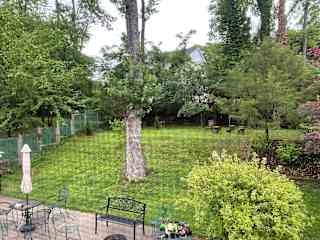 Back yard view from bedroom window.