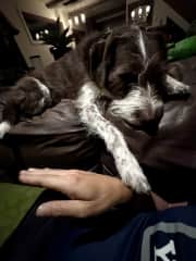 Spending quality time with one of my favorite pups.