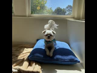 Ready to play