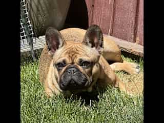 Sun bathing