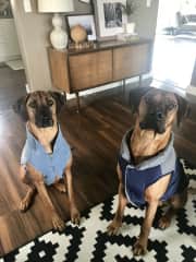 Walter and Stella dressed up in jackets from niece and nephew