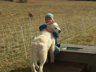 Molly is a Great Pyrenees and one of our livestock guardians.