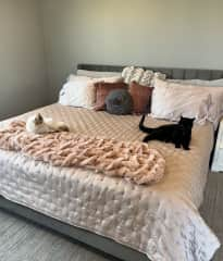 Margo and Sammy relaxing on the bed.