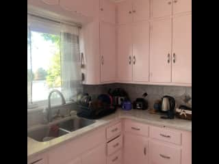 Yes. That is a pink kitchen.