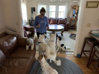 My 5 pack