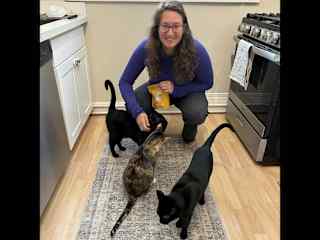 A meowing handful of kitties. (THS sit, Seattle, Washington)