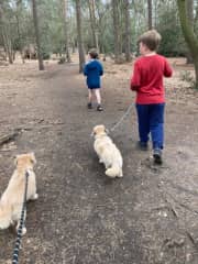 Family dogs (Tinker and Caramel)