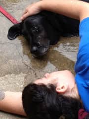 Our sweet Bailey!  She loved to have a bath and lay in the sun to dry!