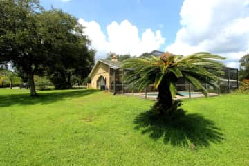 Yard with flowers and tropical trees.