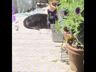 She loves the deck