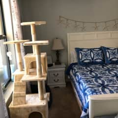 Master bedroom with cat tree, of course