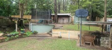 Fully fenced back yard that the dog has access to from the house