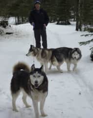 Rich with some of the pack we cared for in the wilds of BC, Canada in February 2015