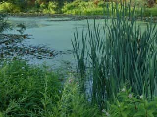 Retention pond