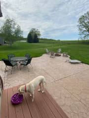 Back yard patio furniture and fire pit