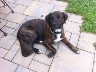 Chip relaxes on the back patio