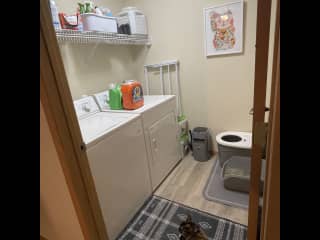 Laundry room and cat’s litter boxes