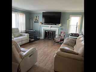 Large living room. Dogs are permitted on all furniture.