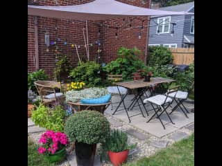 back patio in the summer