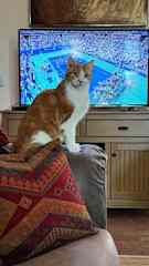 Good Size TV