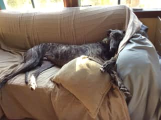 Winston reclining