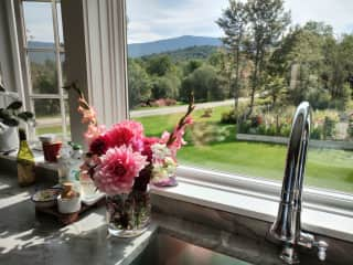 View from the sink