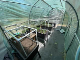 Greenhouse - we may ask you to check to ensure the drip watering system is working